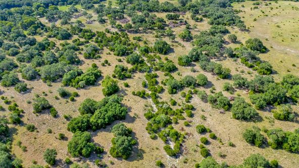 part of edmond ranch: 000 FM 32, Blanco, TX 78606